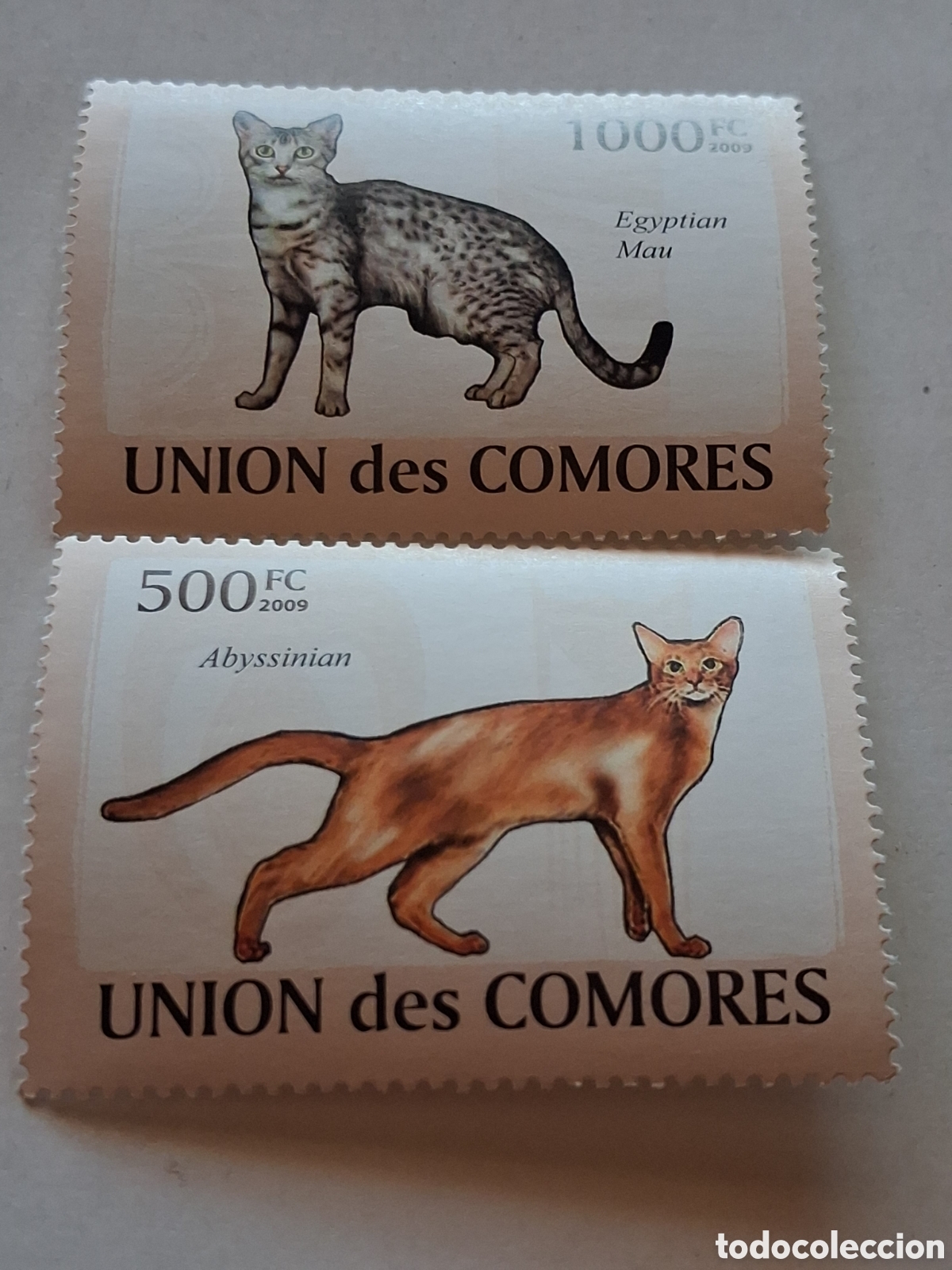 Sellos: Sello Comoras nuevo 2009. Gatos. Animales dom&eacute;sticos. Fauna. Felinos. Mam&iacute;feros.