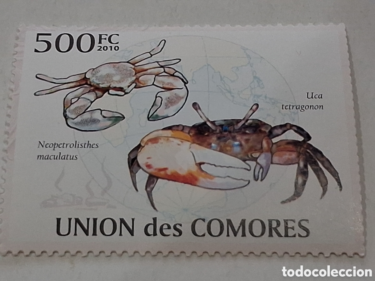 Sellos: Sello Comoras nuevo 2010. Cangrejos. Fauna, vida marina. Crust&aacute;ceos.
