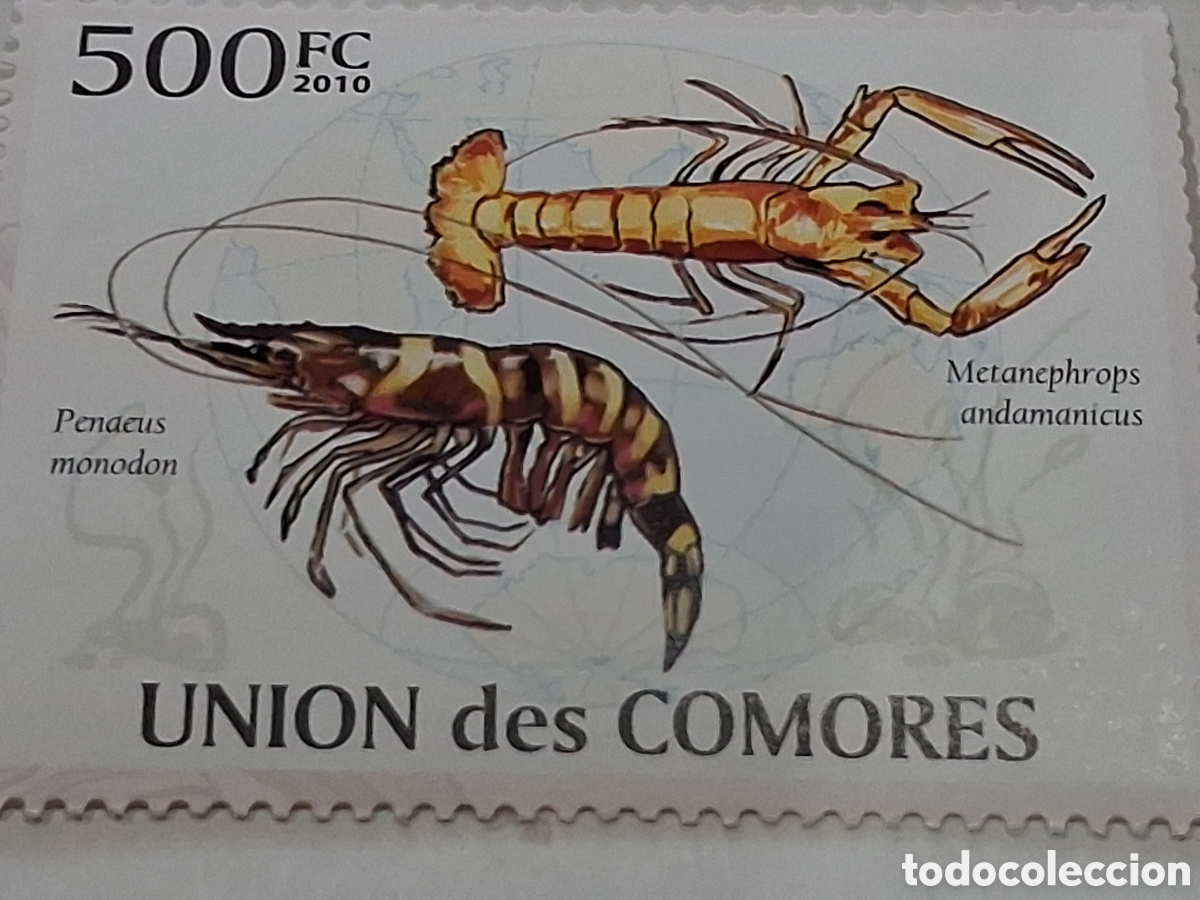 Sellos: Sello Comoras nuevo 2010. Fauna, vida marina. Langosta andamios. Langostino tigre gigante.