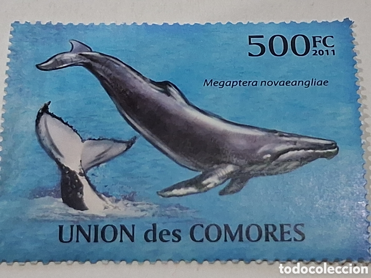 Sellos: Sello Comoras nuevo 2011. Ballena jorobada. Peces. Pescado. Naturaleza. Fauna, vida marina. Mam&iacute;fero