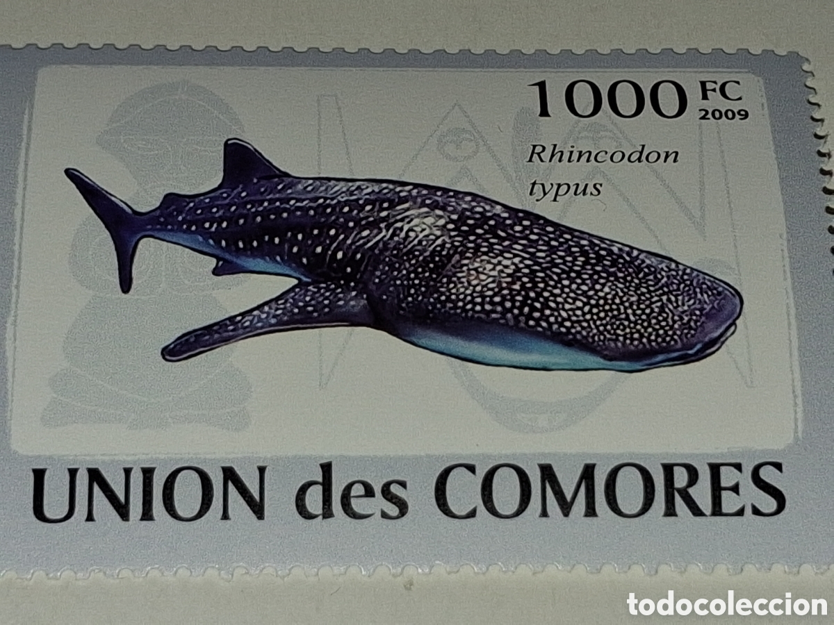 Sellos: Sello Comoras nuevo 2009. Tibur&oacute;n ballena. Peces. Pescado. Fauna, vida marina.
