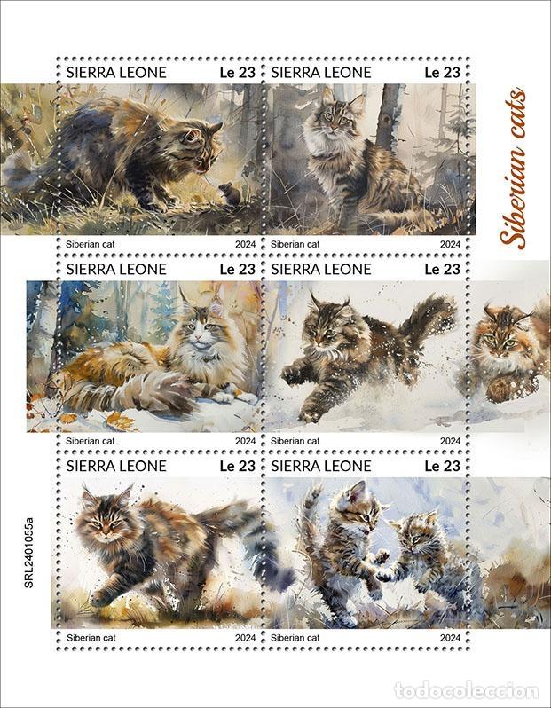 Sellos: Sierra Leona 2024 Mi. 18148-18153 hoja gatos siberianos
