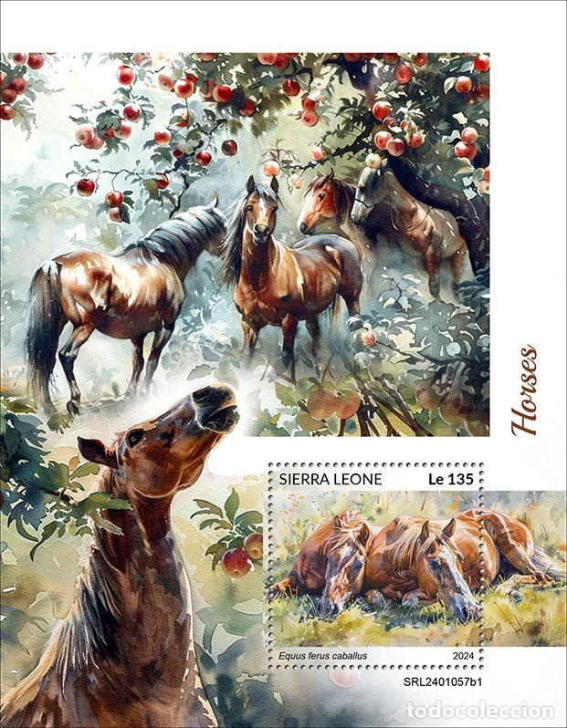 Sellos: Sierra Leona 2024 Mi. Bl. 3160 bloque caballos
