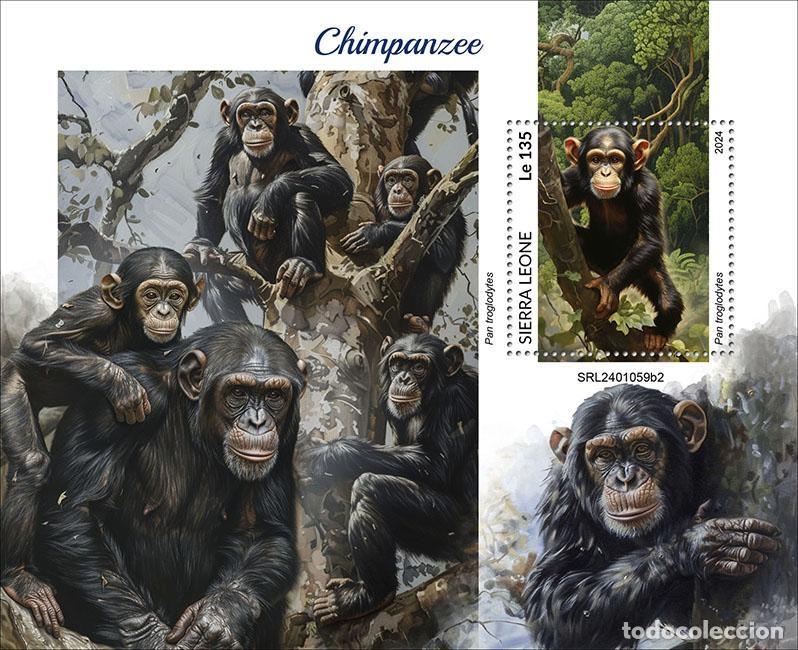 Timbres: Sierra Leona 2024 Mi. Bl. 3165 bloque chimpanc&eacute;s monos