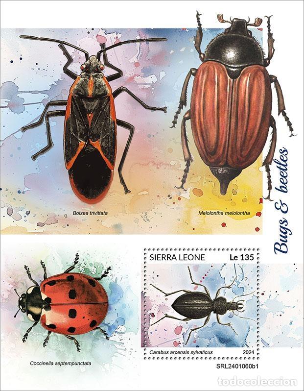 Timbres: Sierra Leona 2024 Mi. Bl. 3122 bloque insectos cole&oacute;pteros mariquitas