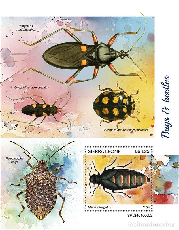 Timbres: Sierra Leona 2024 Mi. Bl. 3123 bloque insectos cole&oacute;pteros mariquitas