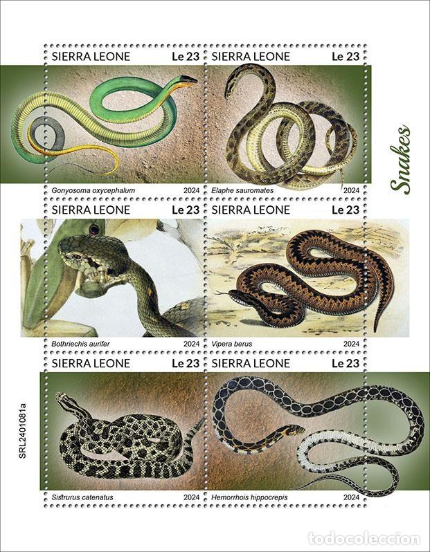 Sellos: Sierra Leona 2024 Mi. 18140-18145 hoja serpientes reptiles