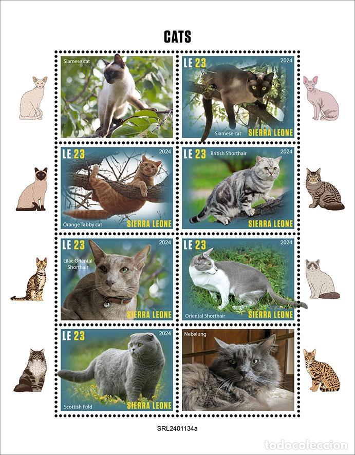 Sellos: Sierra Leona 2024 Mi. 18857-18862 hoja gatos de raza