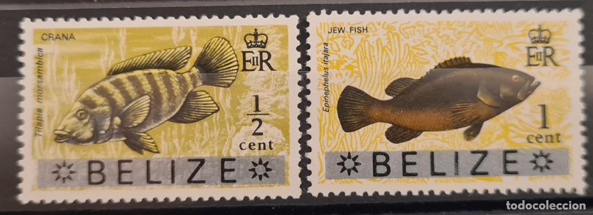 Sellos: Serie de sellos nuevos de Belice 1973. Fauna: peces