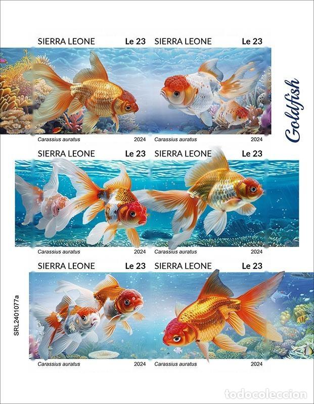 Sellos: Sierra Leone 2024 Mi. 18108-18113 hoja sin dentar peces rojos