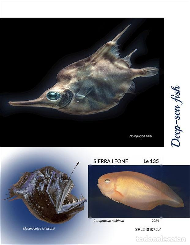 Sellos: Sierra Leona 2024 Mi. Bl. 3142 bloque sin dentar peces de las abisales