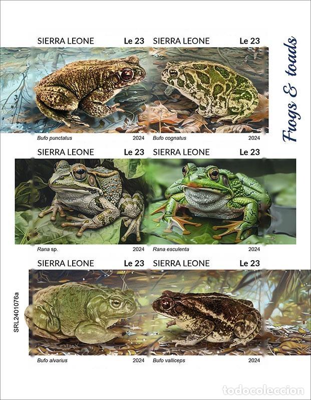 Sellos: Sierra Leona 2024 Mi. 18100-18105 hoja sin dentar ranas sapos