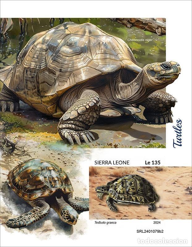 Sellos: Sierra Leona 2024 Mi. Bl. 3151 bloque sin perforar tortugas