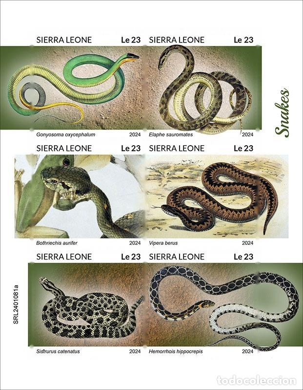 Sellos: Sierra Leona 2024 Mi. 18140-18145 hoja sin dentar serpientes reptiles