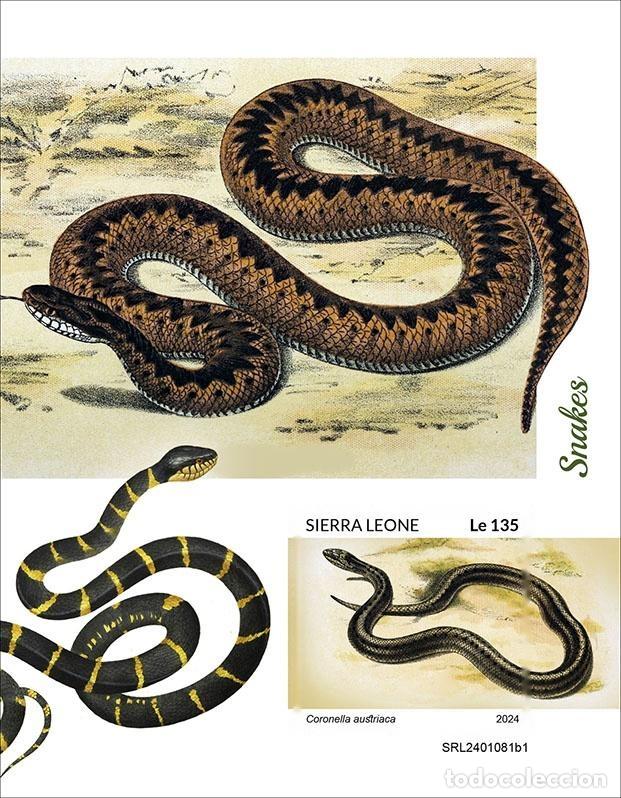 Sellos: Sierra Leona 2024 Mi. Bl. 3154 bloque sin perforar serpientes reptiles