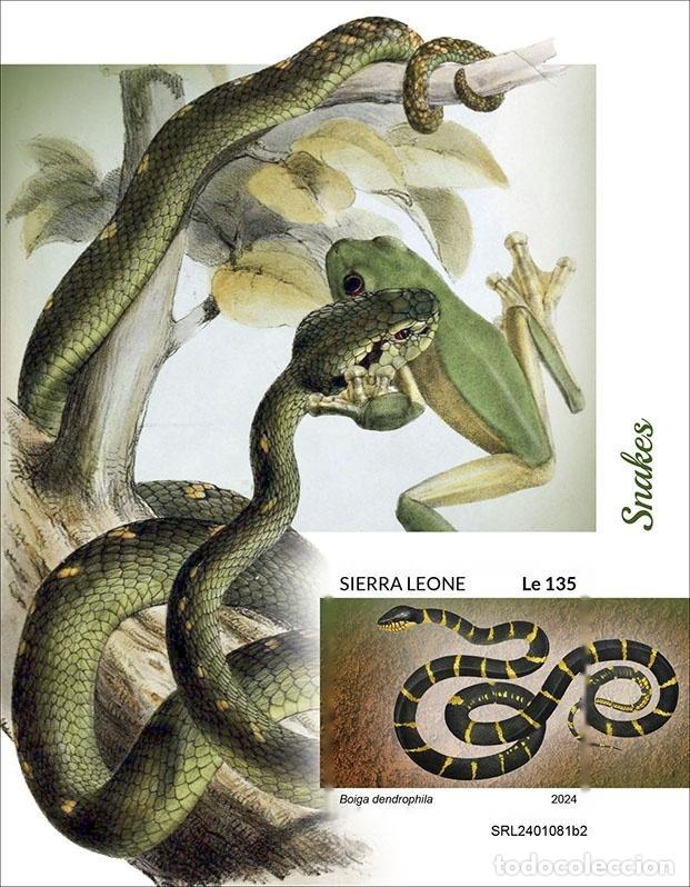 Sellos: Sierra Leona 2024 Mi. Bl. 3155 bloque sin dentar serpientes reptiles