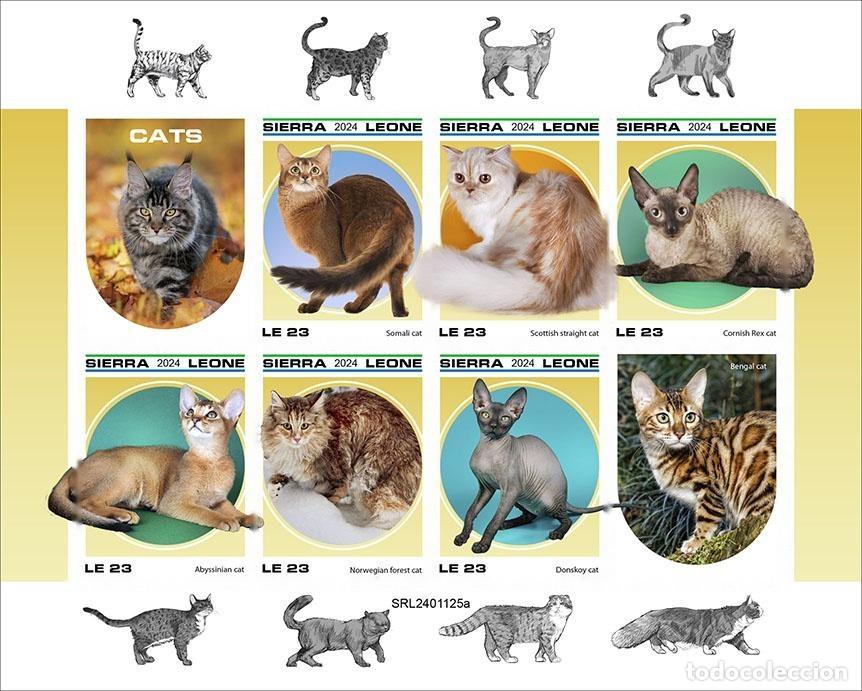 Sellos: Sierra Leona 2024 Mi. 18791-18796 hoja sin dentar gatos de raza