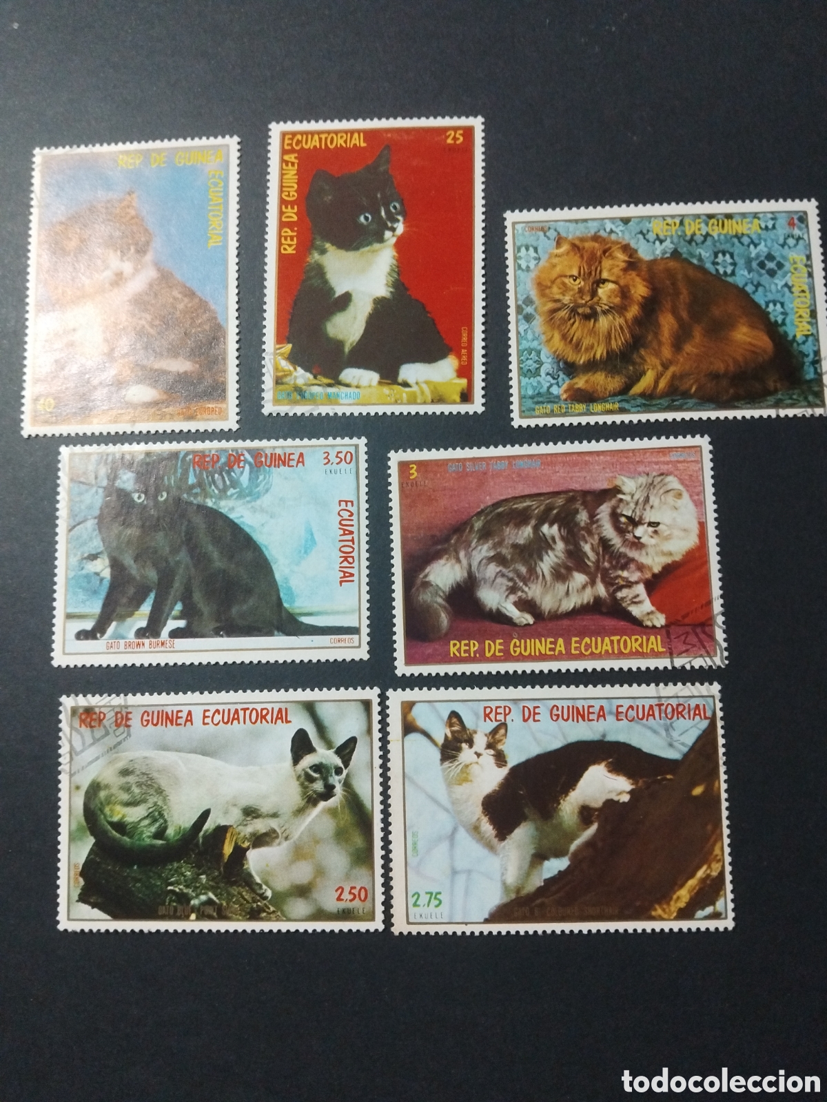 Sellos: Rep&uacute;blica de Guinea Ecuatorial. 1978. Gatos.