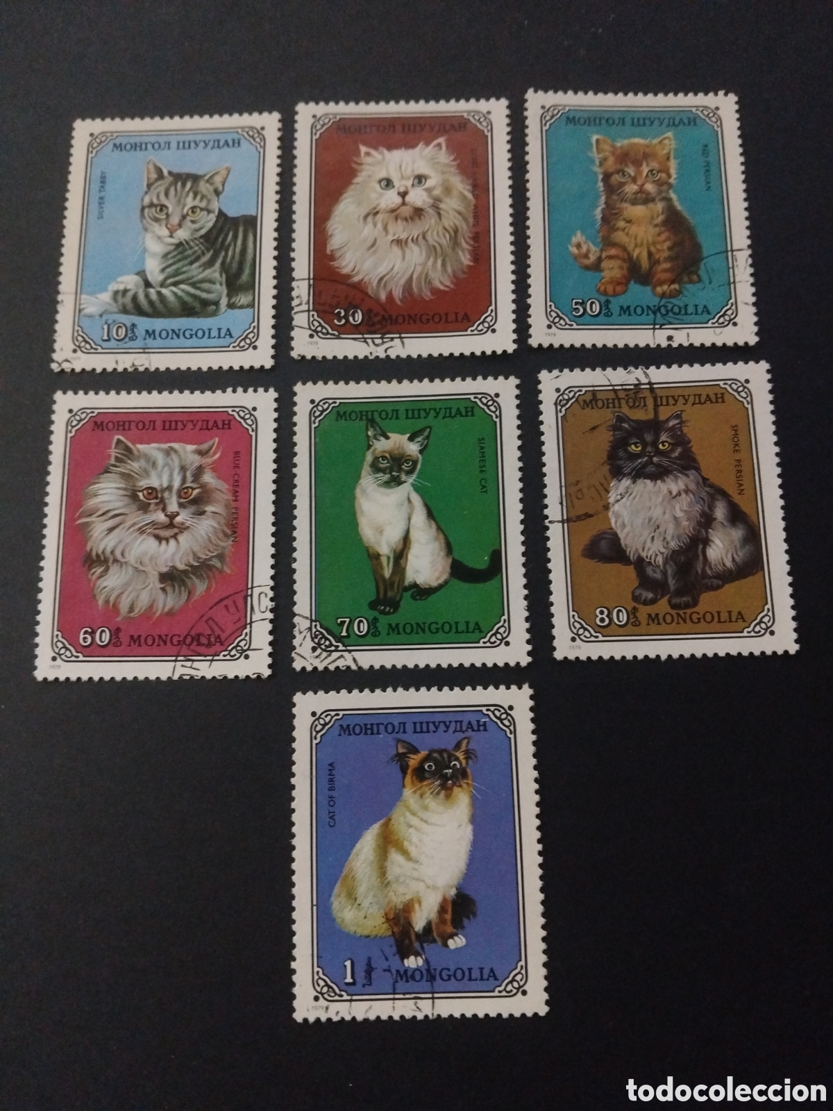Sellos: Mongolia 1979. Gatos dom&eacute;sticos.