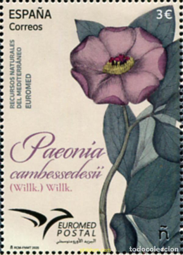 Sellos: 765689 MNH ESPA&Ntilde;A 2025 EUROMED. RECURSOS NATURALES DEL MEDITERR&aacute;NEO. PAEONIA CAMBESSEDESII.