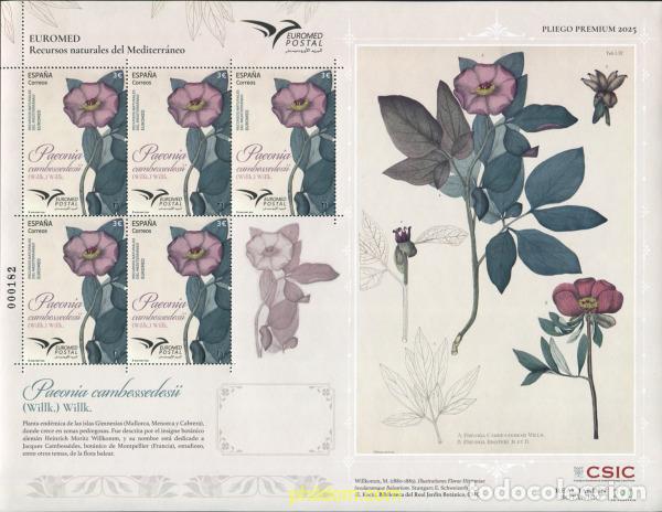 Sellos: 767804 MNH ESPA&Ntilde;A 2025 EUROMED. RECURSOS NATURALES DEL MEDITERR&aacute;NEO. PAEONIA CAMBESSEDESII.