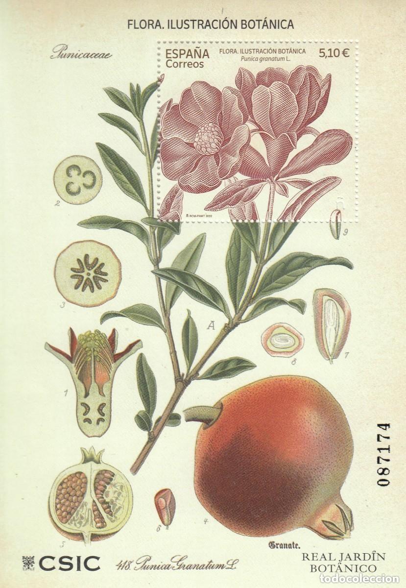 Sellos: ESPA&Ntilde;A 5581 HB ** NUEVO - Flora. Ilustraci&oacute;n bot&aacute;nica. 2022