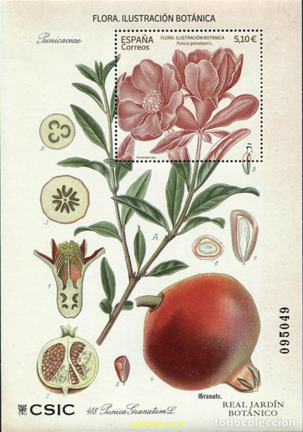 Sellos: 679392 MNH ESPA&Ntilde;A 2022 FLORA. ILUSTRACI&Oacute;N BOT&Aacute;NICA. PUNICA GRANTUM L.
