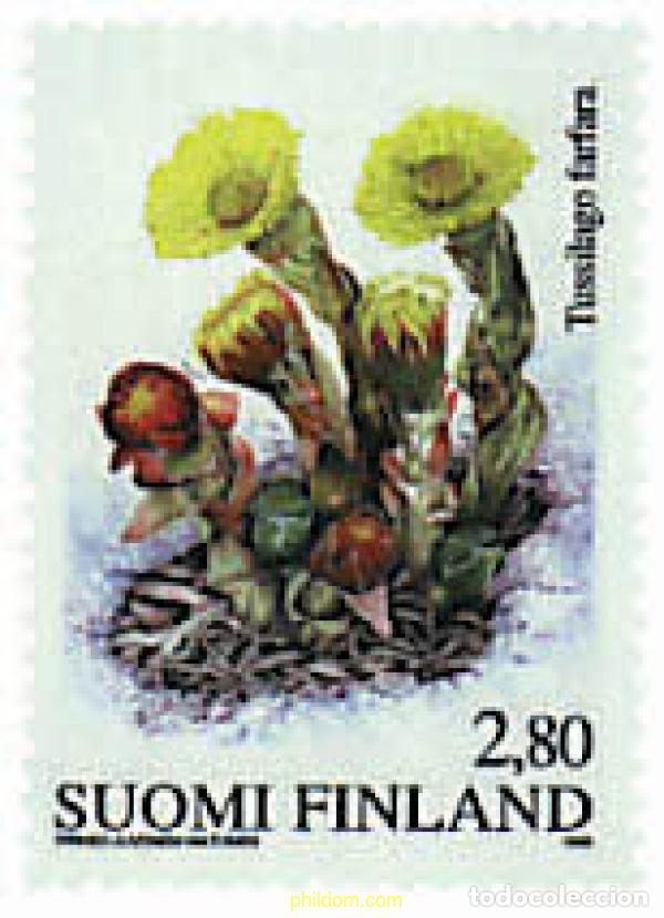 Sellos: 89158 MNH FINLANDIA 1998 FLORA