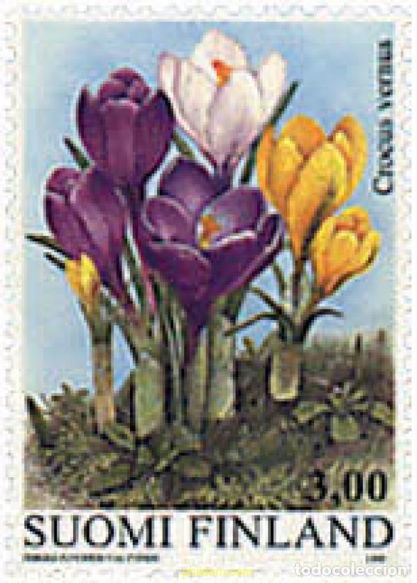 Sellos: 89159 MNH FINLANDIA 1999 FLORA