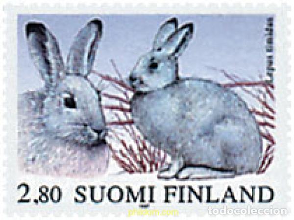 Sellos: 65362 MNH FINLANDIA 1997 LIEBRE VARIABLE