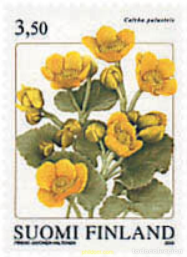 Sellos: 89160 MNH FINLANDIA 2000 FLORA