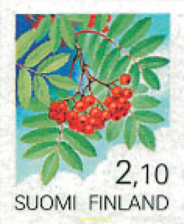 Sellos: 103254 MNH FINLANDIA 1991 FLORA