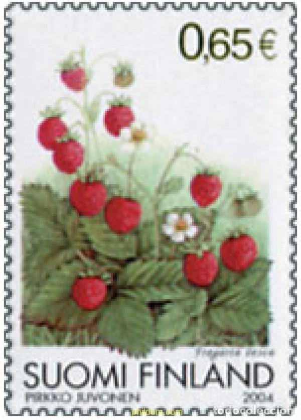 Sellos: 145407 MNH FINLANDIA 2004 FLORA