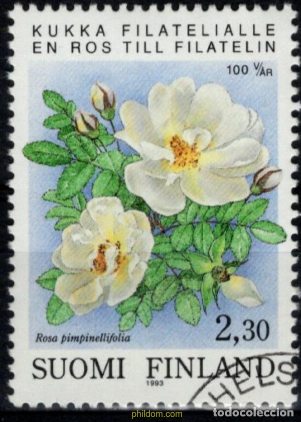 Sellos: 794285 USED FINLANDIA 1993 CENTENARIO DE LA PRIMERA ASOCIACION FILATELICA REGISTRADA DE FINLANDIA