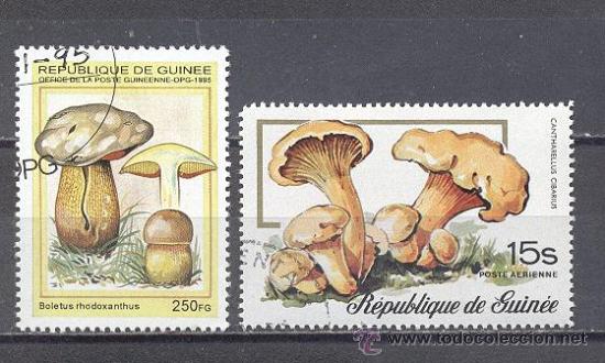 Sellos: REPUBLICA DE GUINEA  FLORA - Foto 1
