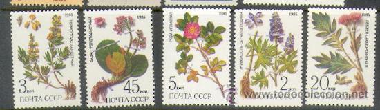 Sellos: Rusia ** 5232 - Foto 1