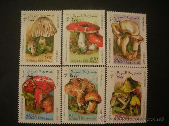 Sellos: Somalia 1998  ***  Flora - Setas - Foto 1
