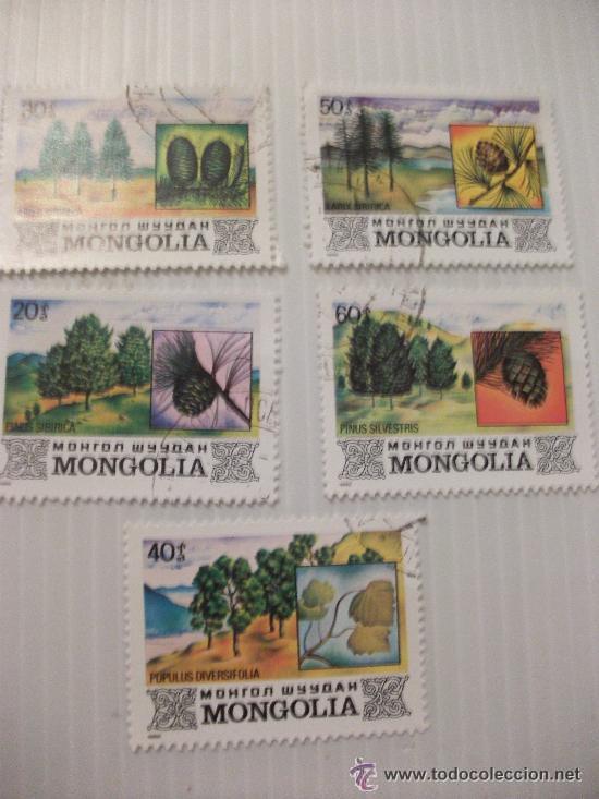 Sellos: LOTE DE 5 SELLOS DE MONGOLIA: ARBOLES , CONIFERAS
