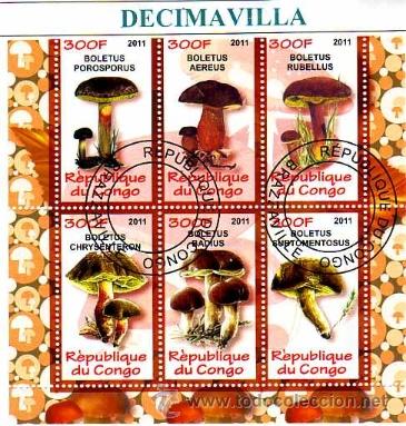 Sellos: FLORA, SETAS, CONGO, 2011, L191, HOJA-BLOQUE USADA - Foto 1