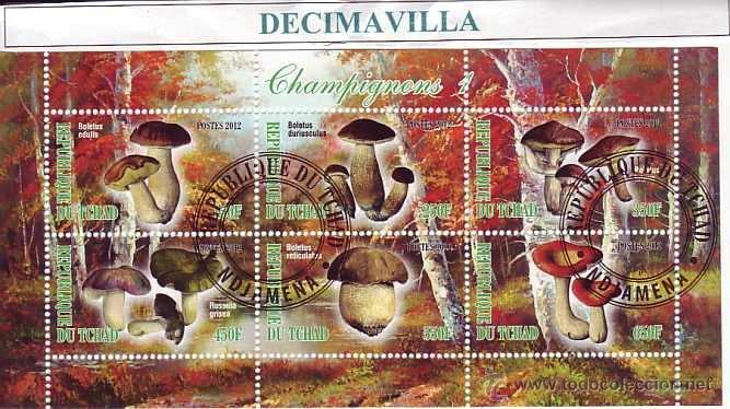 Sellos: FLORA, SETAS, TCHAD, 2012, L303, HOJA-BLOQUE USADA - Foto 1
