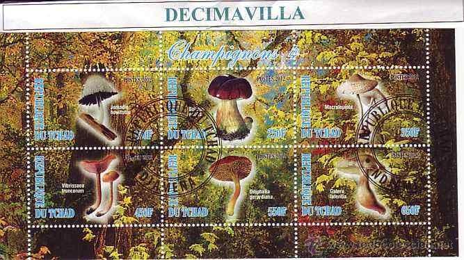 Sellos: FLORA, SETAS, TCHAD, 2012, L306, HOJA-BLOQUE USADA - Foto 1