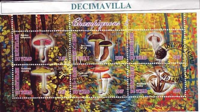 Sellos: FLORA, SETAS, TCHAD, 2012, L307, HOJA-BLOQUE USADA - Foto 1
