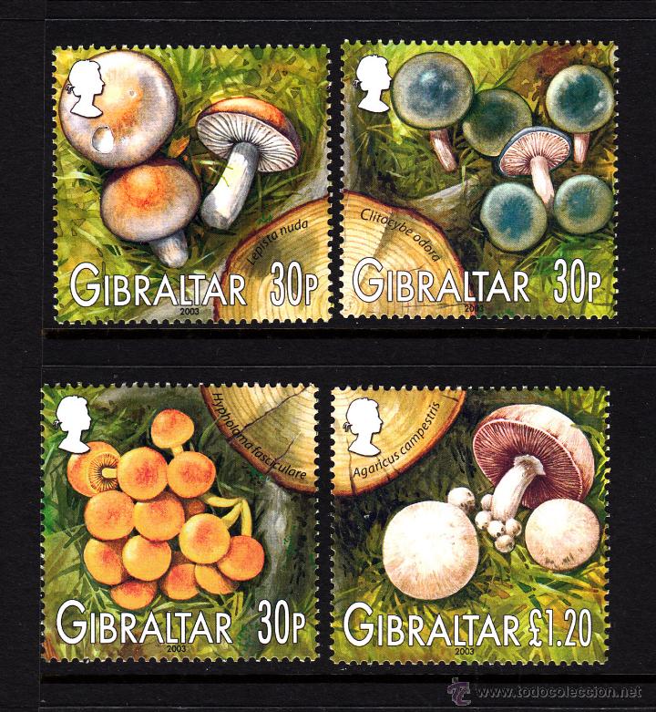 Sellos: GIBRALTAR 1055/58** - A&Ntilde;O 2003 - FLORA - SETAS - Foto 1