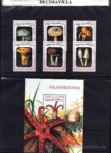 Sellos: AFGHANISTAN, FLORA, SETAS, 1999 - Foto 1