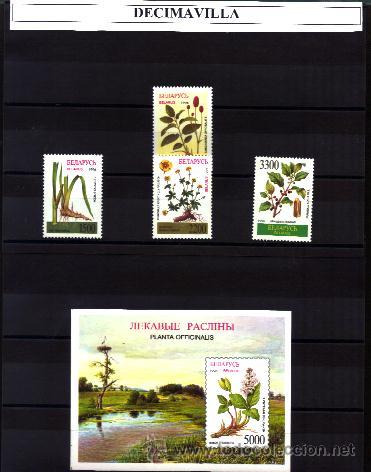 Sellos: BELARUS, FLORA, 1996, 185/88 + H.B. 15 - Foto 1