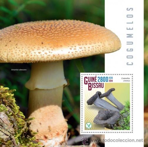 Sellos: Guinea Bissau 2014 MUSHROOMS - Foto 1