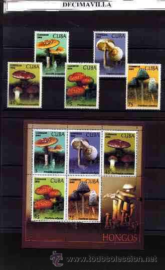 Sellos: CUBA, 2002, 4004/08 + M.P, SETAS - Foto 1