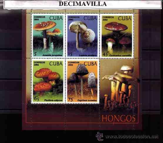 Sellos: CUBA, SETAS, 2002, 4004/08, M.P - Foto 1