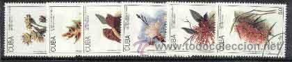 Sellos: CUBA, 1993, USADA, SEIS VALORES, FLORA - Foto 1