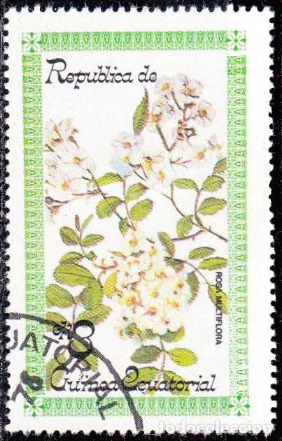 Sellos: 1979 - GUINEA ECUATORIAL - FLORES - ROSA MULTIFLORA - Foto 1